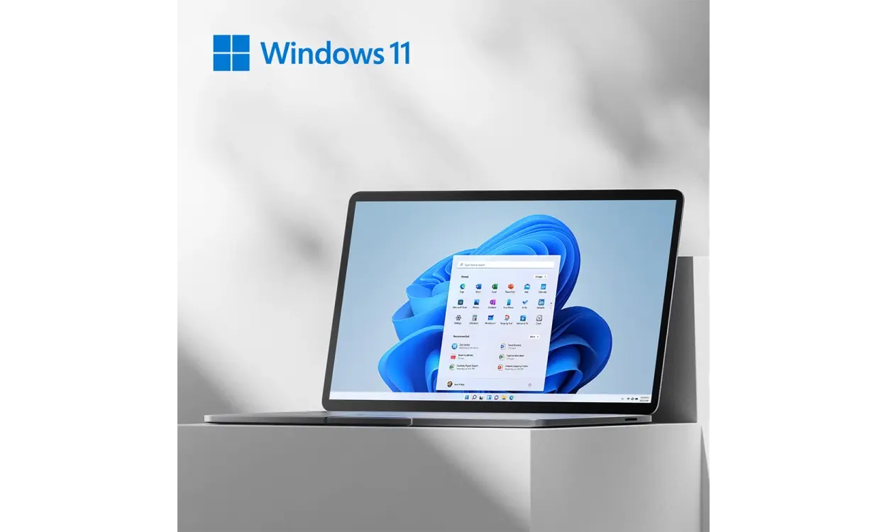 Windows 11