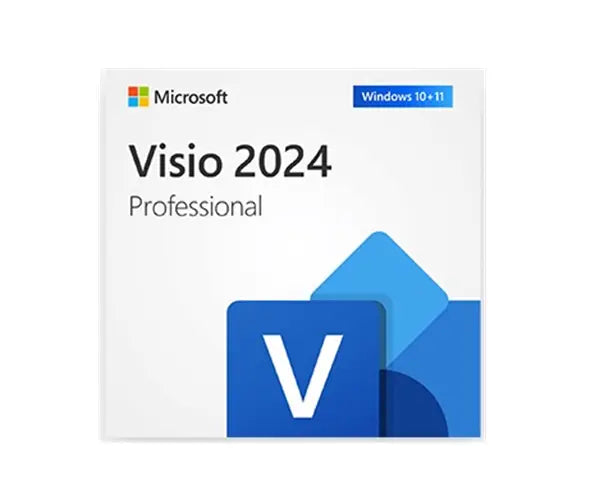 visio 2024 professional