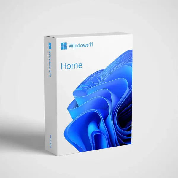 windows 11